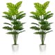 thumbnail image 1 of Set de 2 plantas artificiales Monstera Deliciosa Plants SAJANDAS de 43 pulgadas, 1 of 7