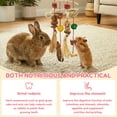 thumbnail image 5 of Threns Bunny Chew Toys for Teeth,Hanging Chewing Toy and Treat for Guinea Pig Chinchilla Hamster Rat and Other Small Pet Teeth Grinding,2Pcs, 5 of 10