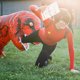 thumbnail image 3 of Disfraz inflable de tiranosaurio, disfraz de Halloween, juego de rol, disfraz inflable de dinosaurio musculoso realista, 3 of 5
