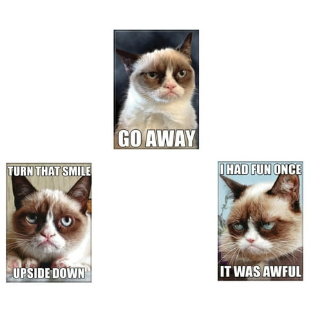 Bundle - 3 Items: Grumpy Cat Refrigerator Magnets #02