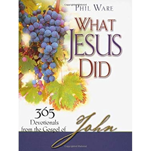 Pre-Owned What Jesus Did: 365 Devotionals from the Gospel of John (Paperback) 0976779056 9780976779056