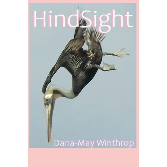 HindSight Paperback 1651478090 9781651478097 Dana-May Winthrop