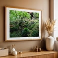 thumbnail image 5 of In The Depths Of The Natural - Portland Oregon Photography Garden Nature Botanical Floral Scenic Zen Unframed Wall Art Print 32 x 48 inches, 5 of 7