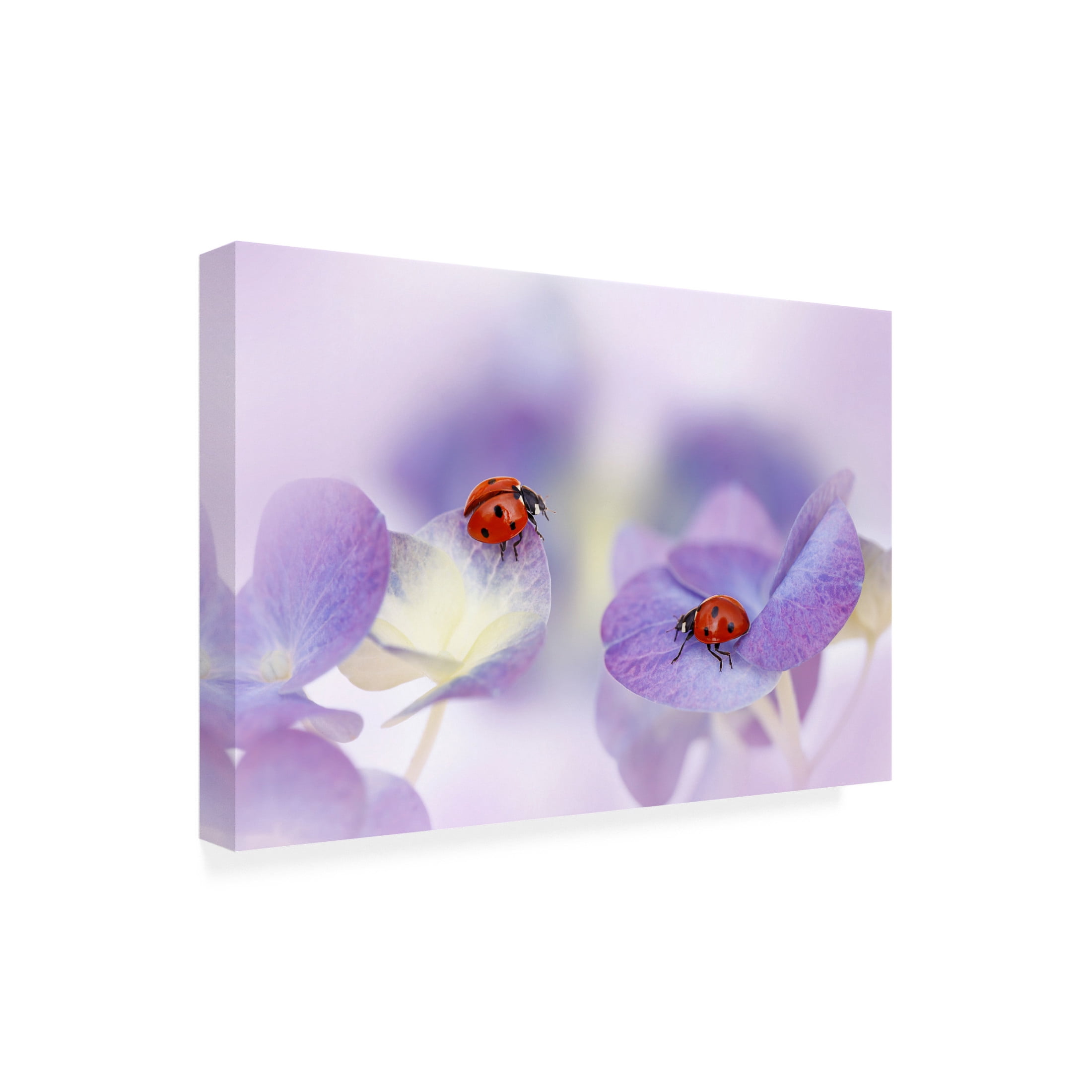 Canvas Wall Art - Ellen Van Deelen 'Red And Purple' Wall Art for Living Room, Bedroom, or Office D?cor by Trademark Fine Art - 19 x 12 Inches