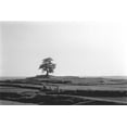 thumbnail image 2 of Koetsier, Albert 18x13 White Modern Wood Framed Museum Art Print Titled - Lonely Field, 2 of 4