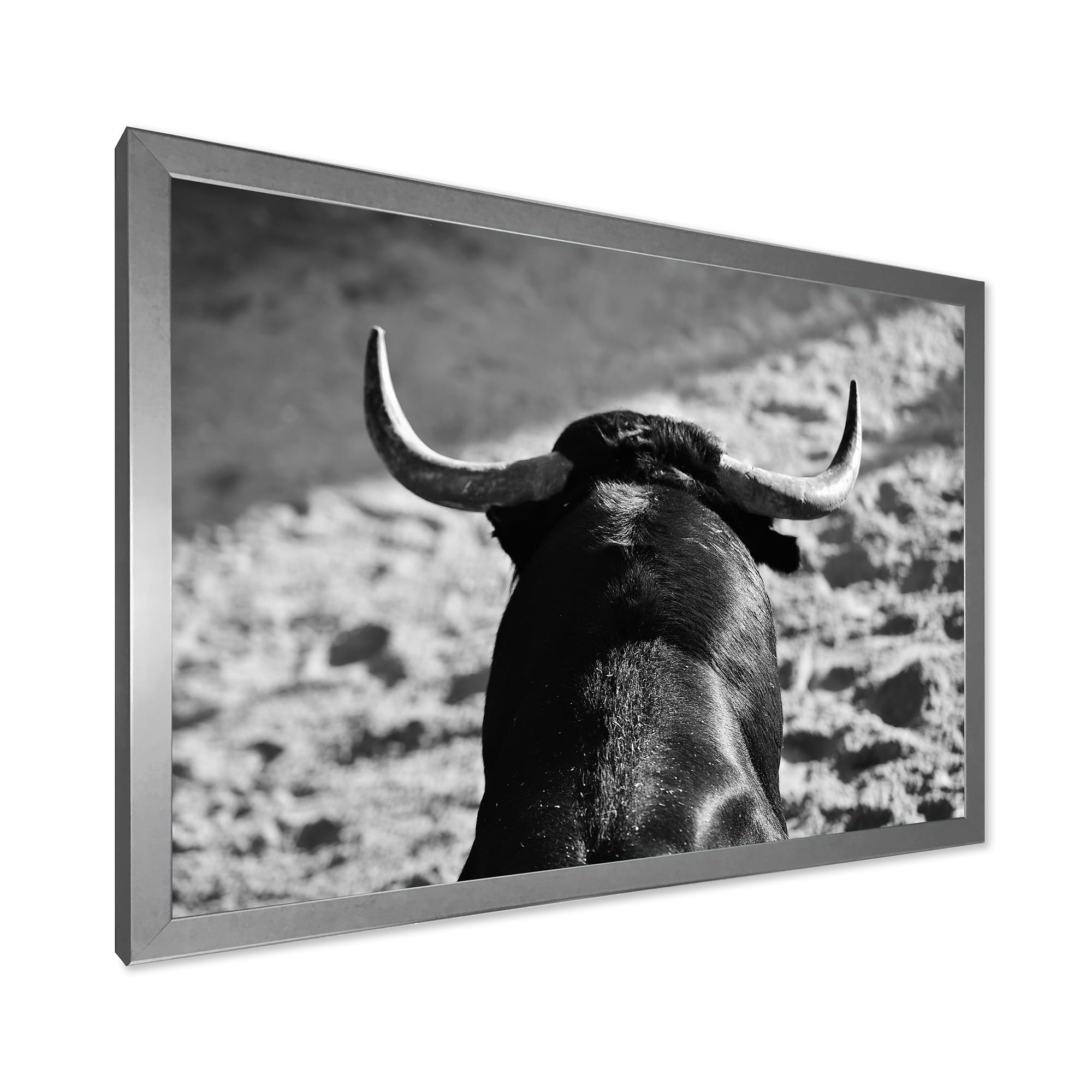 Designart 'Black and White Portrait Of A Spanish Bull II' Farmhouse Framed Art Print