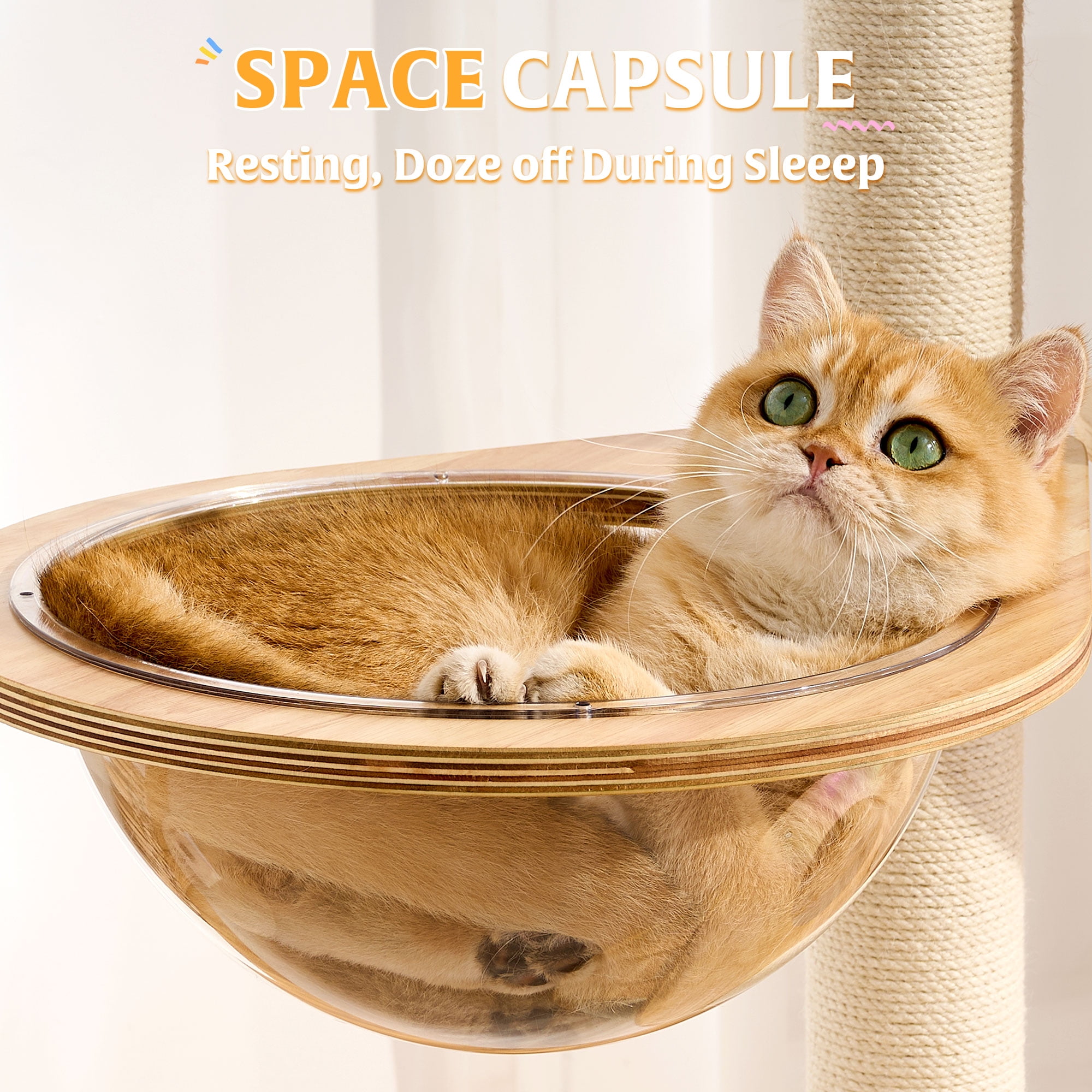 HITTITE Solid Wood Cat Tree Tower with Scratching Post, 61 Inches Tall Cat Towers with Capsule and Condo, Modern Cat Tower with Climbing Ladder and Removable Top Bed for Indoor Cats.