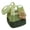 Green, variant on Handmade Crochet Flower Tote Boho Striped Handbag Beach Bag Crossbody Shoulder Bag Crocheted Floral Purse for Women Vacation Street
