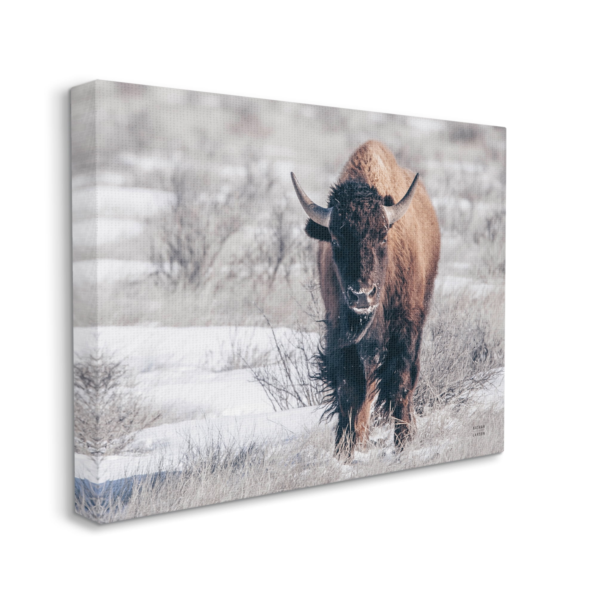 Stupell Industries Bison in Rural Snow Scene Animals & Insects Photography Gallery Wrapped Canvas Print Wall Art, 30 x 24