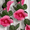 A, variant on Clearance Under $10 Artificial Flower Garland Peony Flowers Garland Hanging Silk Plants For Wedding Ivy Flowers Hanging Flower Strings For Wedding Arch Table Wall on Clearance