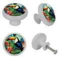 thumbnail image 4 of Toucan Fluorescent Drawer Pulls with Screws: Round 4-Pack Glow-in-the-Dark Knobs, Suitable for Cabinets, Wardrobes, Dressers - Furniture Decor Featuring Drawer Pulls,Dresser Hardware, 4 of 6