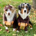 thumbnail image 2 of Pet Halloween UPS Courrier Costume, 2 of 6