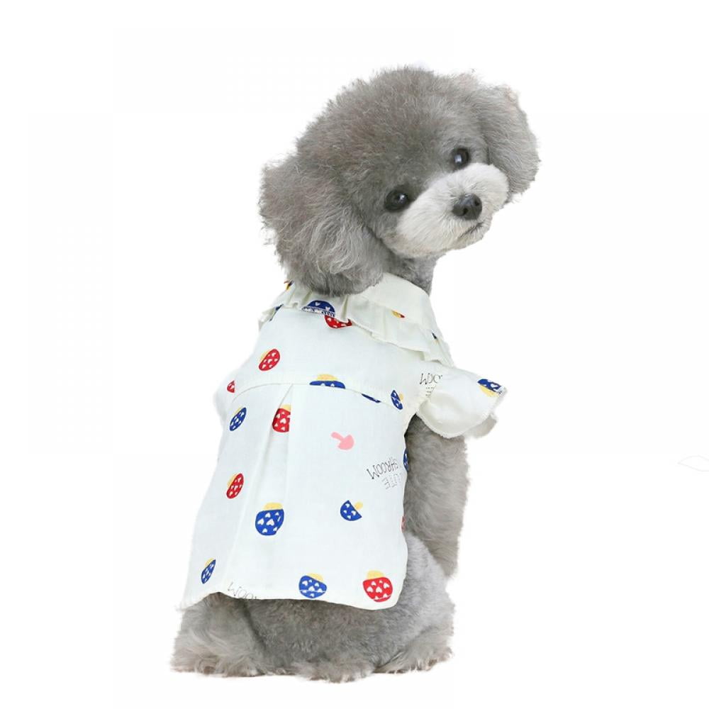 What Size Clothes Do Toy Poodles Wear