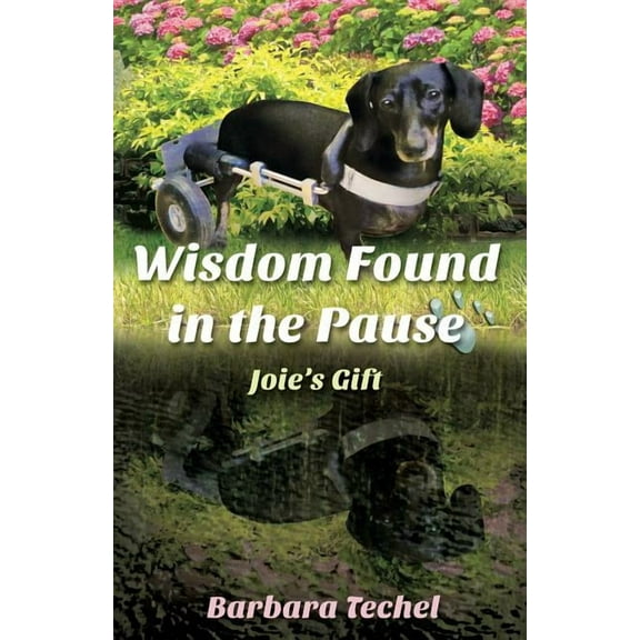 Wisdom Found in the Pause: Joie's Gift, (Paperback)