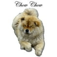thumbnail image 3 of CafePress - Chow Chow Dog Women's Light Pajamas - Women's Short Sleeve Print T-Shirt and Pants Light Cotton Pajama Set, 3 of 7