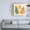 thumbnail image 3 of Annie Warren 'Decorative Gourd II' Canvas Art, 3 of 3