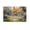 Unframe, variant on Larbulse Cottage White Picket Fence Rose Canvas Wall Art Home Decor Poster Vintage Funny Print Picture Abstract Bedroom Living Room Kitchen Posters Decor