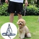 thumbnail image 5 of Desiderio Arnés sin tirones para perros pequeños y medianos, ajustable, 5 of 5