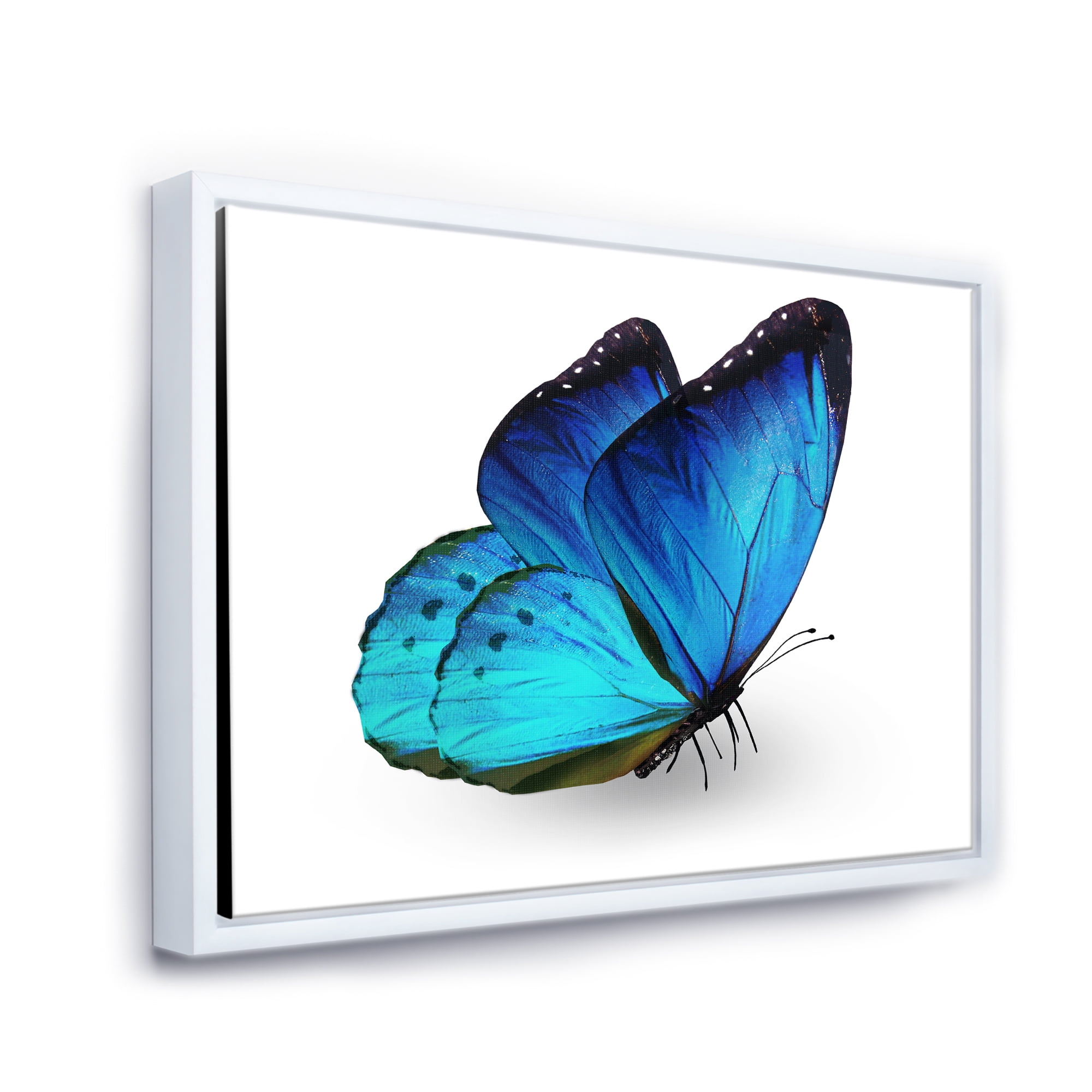 Designart 'Close Up Of Vibrant Blue Butterfly On White' Modern Framed Canvas Wall Art Print