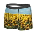 thumbnail image 2 of Fotbe Blooming Sunflower Field Men’s Total Support Pouch Boxer Briefs, X-Temp Cooling, Moisture-Wicking Underwear, Regular, Long-leg and Trunk-Small, 2 of 9