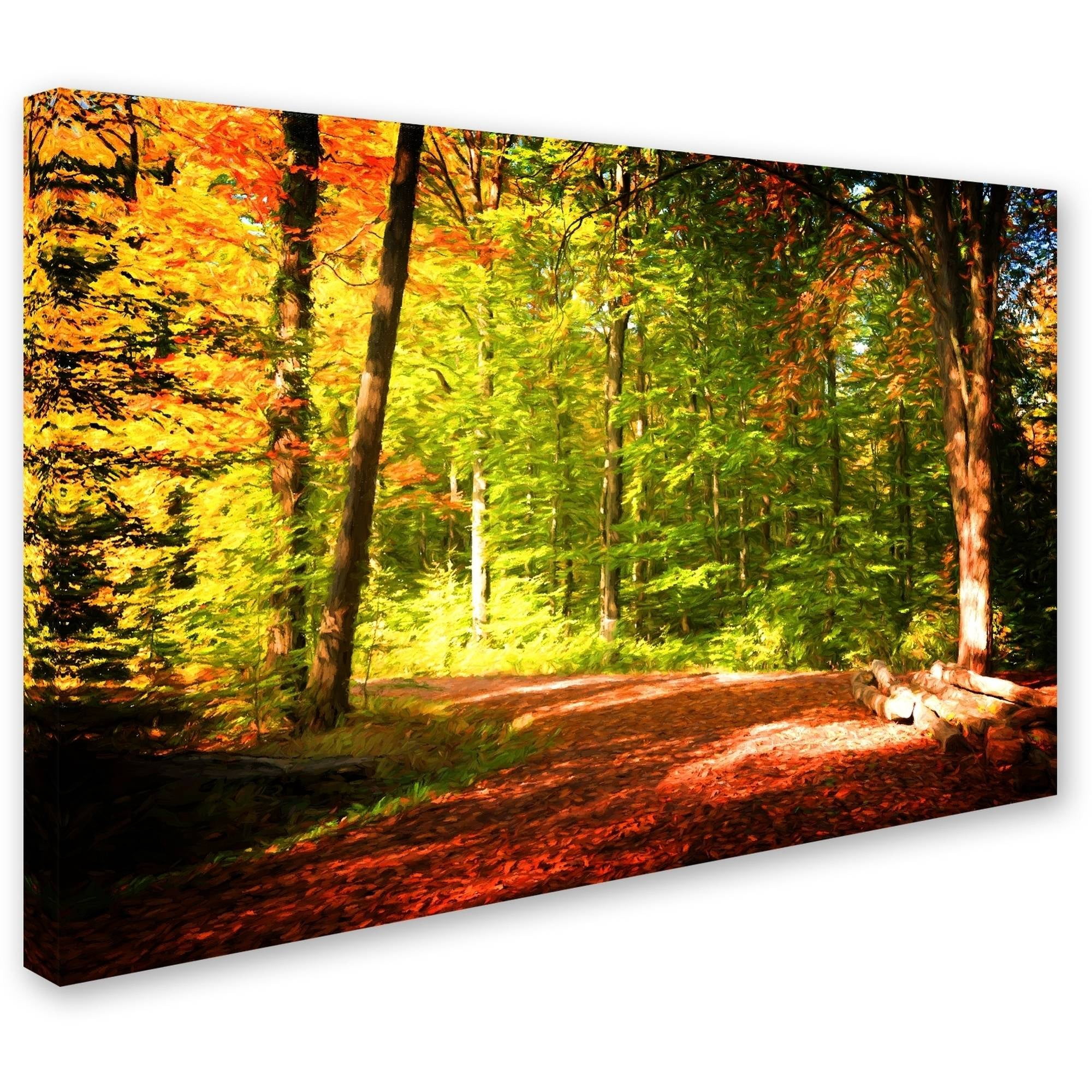 Trademark Fine Art "Breaking The Fall Silence" Canvas Art by Philippe Sainte-Laudy