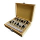 thumbnail image 1 of Juego de Brocas Para Router 12pzs. 8mm Hoteche 610101 12pzs. 8mm, 1 of 9