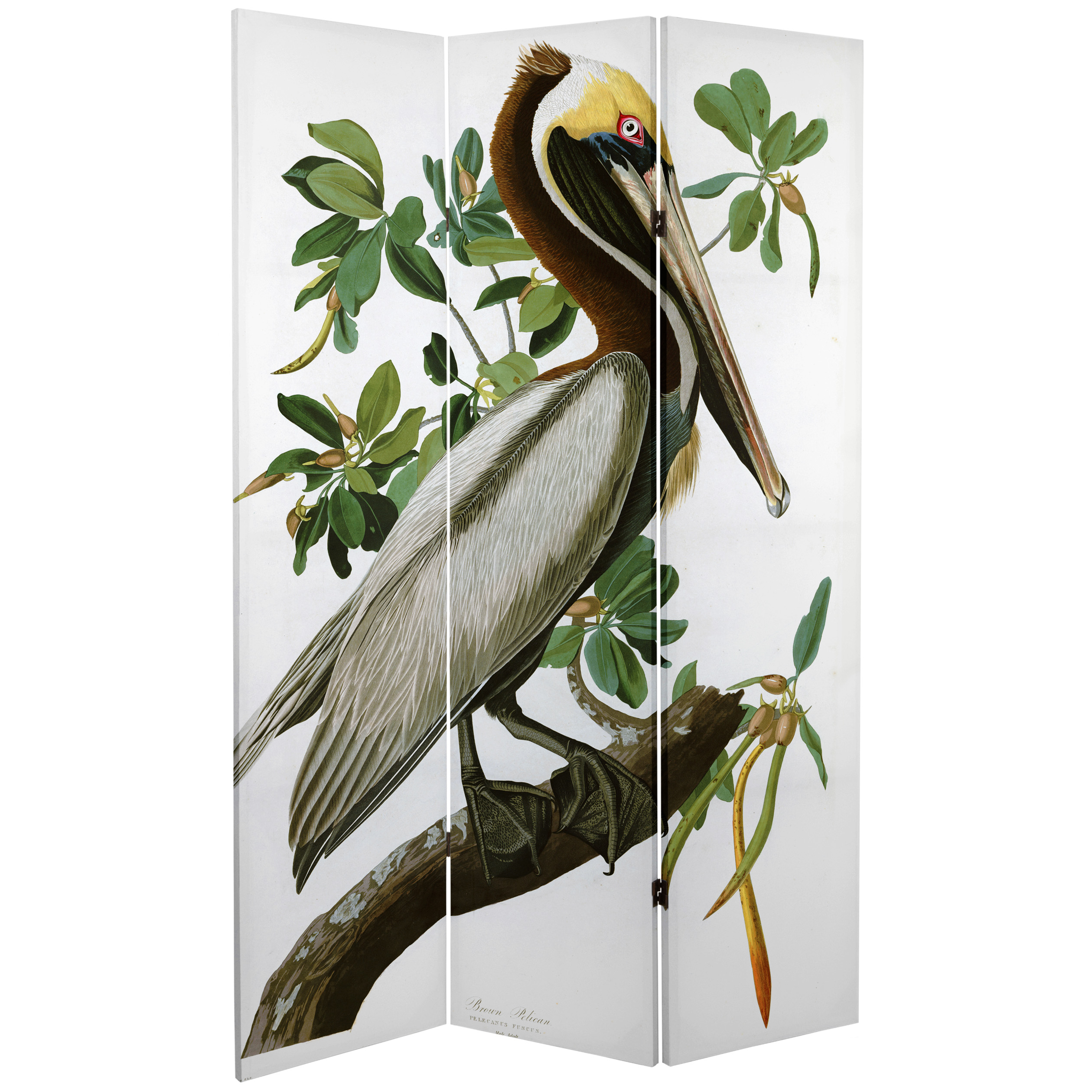 6 ft. Tall Audubon Pelican Canvas Print Room Divider Floor Screen - image 2 of 3