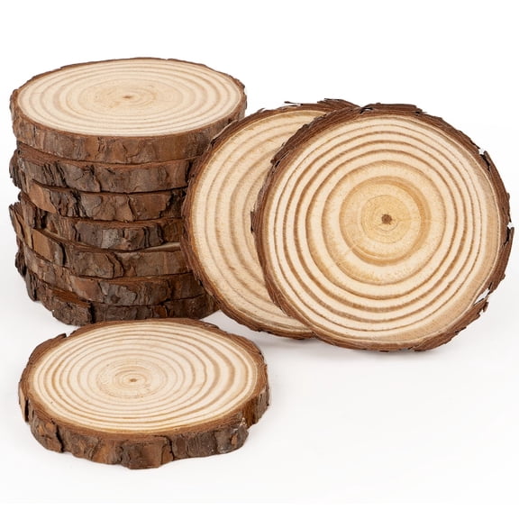 Natural Wood Slices3-4cm Thickness 1cm, 10 PCS Round Wooden Discs with Tree Bark, Wood Slices for Centerpieces for Handmade Crafts, Wood Circles for Rustic Wedding Decoration