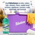thumbnail image 5 of Fabuloso Holiday Multi-Purpose Cleaner, 2X Concentrated Formula, Fresh Winter Mint Scent, 33.8 fl oz, 5 of 9