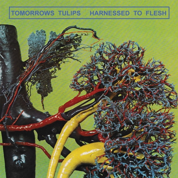 HARNESSED TO FLESH (I)