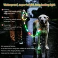 thumbnail image 4 of LED Waterproof Pet Dog Leash USB Rechargeable Fashionable Color Glow in the Dark Night Walk Safety Dog Leash for Medium to Large Dogs, 4 of 6
