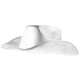 thumbnail image 4 of Sombrero de vaquera Sombrero de vaquero Sombrero occidental Brillo Lustre Sombrero de vaquero Fiesta Sombrero de vaquero Prop, 4 of 6
