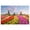 style1, variant on DESIGNICE Puzzles for Adults 500 Pieces,Safe Substances 500 Pieces Jigsaw Puzzles 500 Pieces,Precise Work Puzzles for Adults,style1
