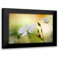 thumbnail image 1 of Disher, Mandy 24x18 Black Modern Framed Museum Art Print Titled - Summer beauties, 1 of 5