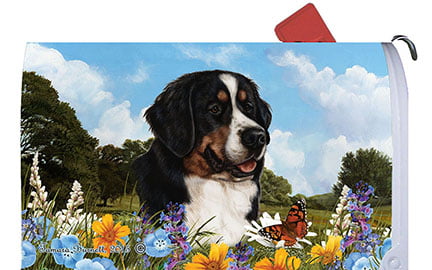 Best of Breed Bernese Mountain Dog Patriotic I Dog Breed Mail Box Cover 