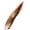 Medium Brown, variant on Maybelline New York Tattoo Brow™, Peel Off Eyebrow Tint