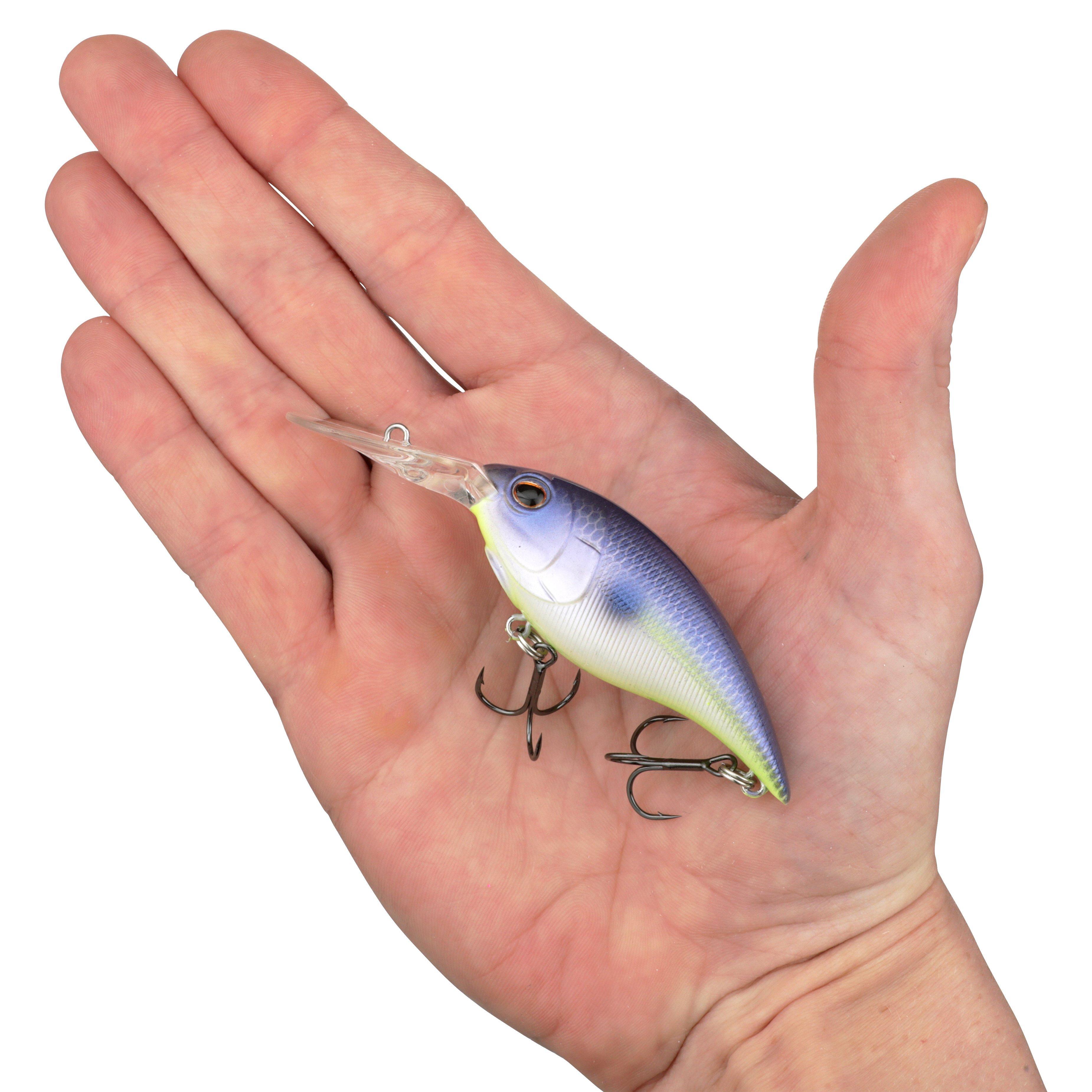 Berkley Money Badger, 7.25, Purple Glimmer