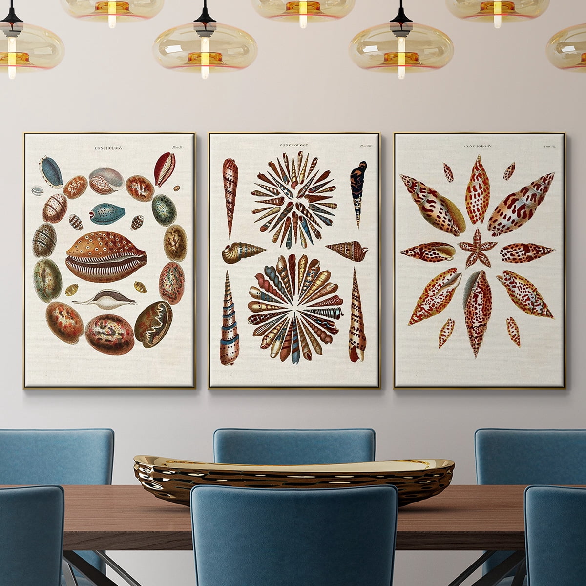 Spiral Shell Formation I - Framed Premium Gallery Wrapped Canvas L Frame 3 Piece Set - Ready to Hang