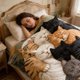 thumbnail image 4 of Manta de forro polar de franela con estampado de gatos multicolor durmiendo, para cama, sofá y sillón, tela ligera, cálida y acogedora para todas las estaciones., 4 of 5