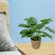 thumbnail image 5 of Plantas artificiales en maceta, imitación de hierba milanesa, hojas de tortuga y lirios del valle, para decoración de interiores, hogar, oficina, escritorio, dormitorio, sin mantenimiento, decoración, 5 of 6
