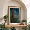 thumbnail image 5 of HOOP FINDS A WAY #2 - Santa Fe New Mexico Photography Basketball Rural Unframed Wall Art Print 4 x 6 inches, 5 of 60