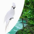 thumbnail image 4 of Oiseaux Plumes Maison Ornement Perroquet Oiseau Rouge, 4 of 8