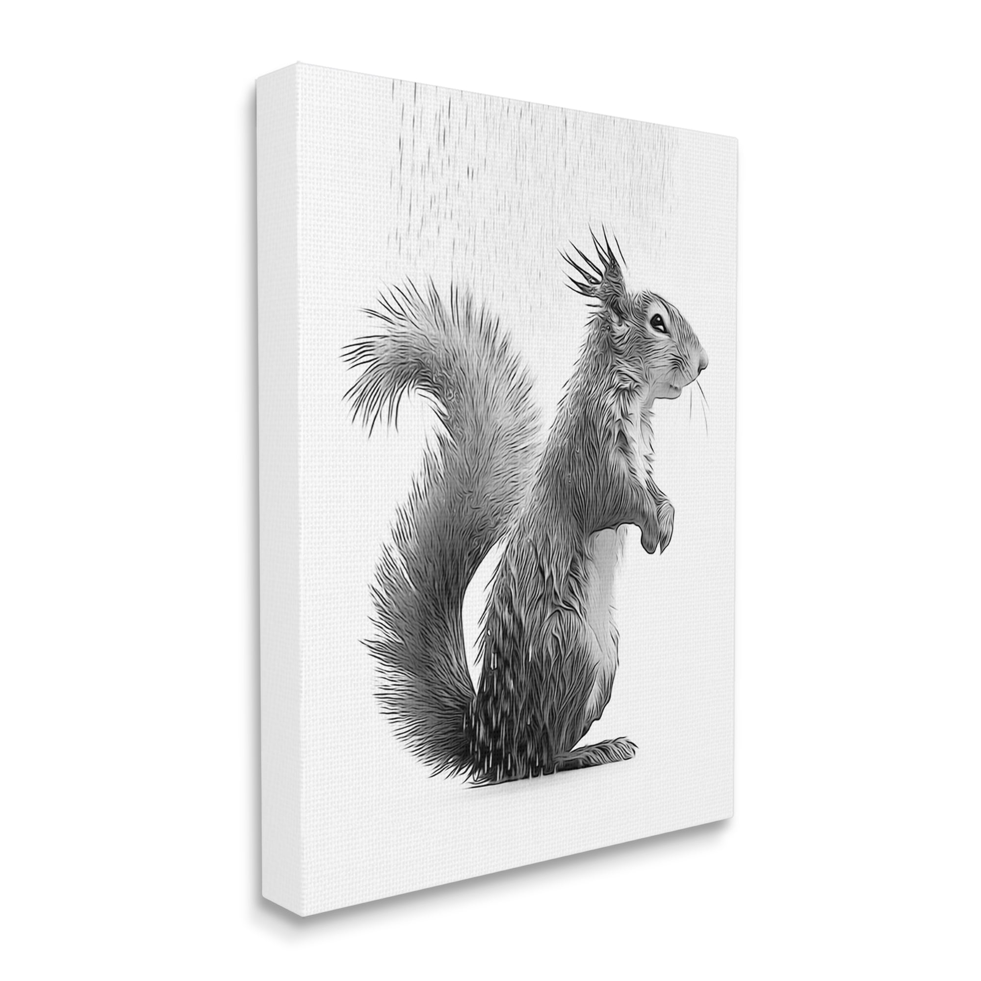 Stupell Industries Squirrel Bathroom Splash Animals & Insects Painting Gallery Wrapped Canvas Art Print Wall Art, 16 x 20