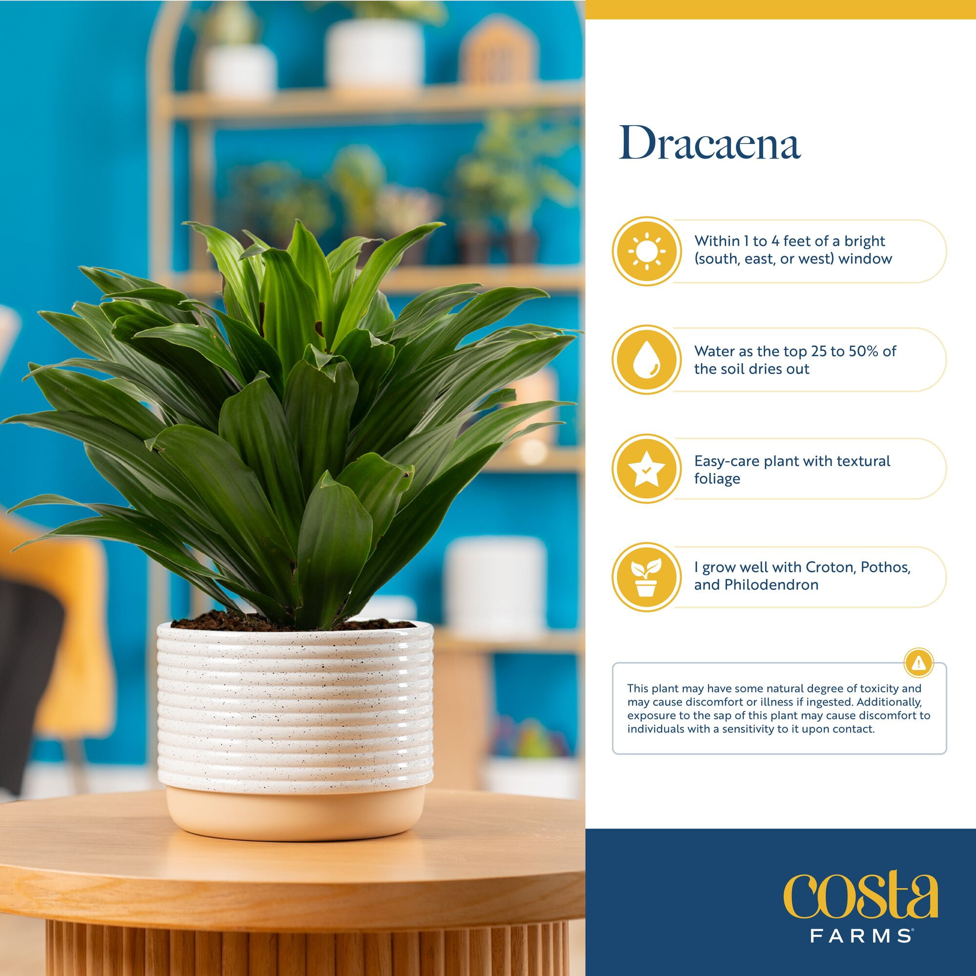 5d5edd38-f187-4d42-bdb7-