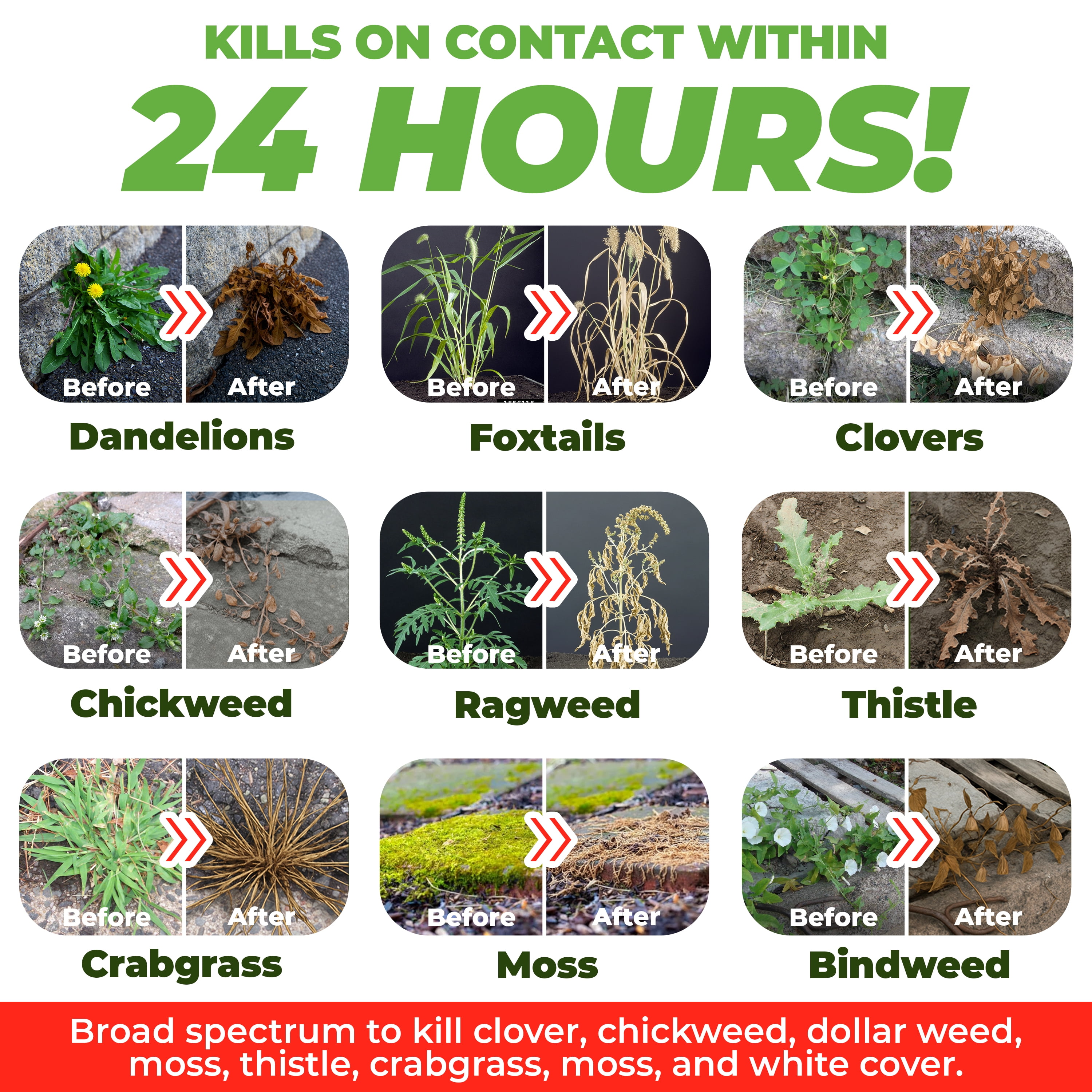 ECO GARDEN PRO - Organic Vinegar Weed Killer | Kid Safe Pet Safe | Clover Killer For Lawns | Moss Killer | Green Grass & Poison Ivy Killer | Spray Ready Glyphosate FREE Herbicide (1 Gallon)