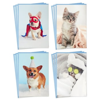 Hallmark Blank Cards, Assorted Cute Animal Photos, 12 ct.