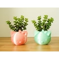 thumbnail image 6 of Clever Contraption Small Cat Face Succulent Planter Vase – 3D Printed, 6 of 9