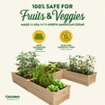 thumbnail image 3 of Greenes Fence 96" x 96" x 16.5" Beige Cedar Raised Garden Kits, 3 of 8