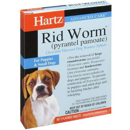 worm pills for dogs hartz ultraguard plus rid worm tablets for small dogs 2 ct walmart worm pills for dogs hartz ultraguard plus rid worm tablets for small dogs 2 ct walmart