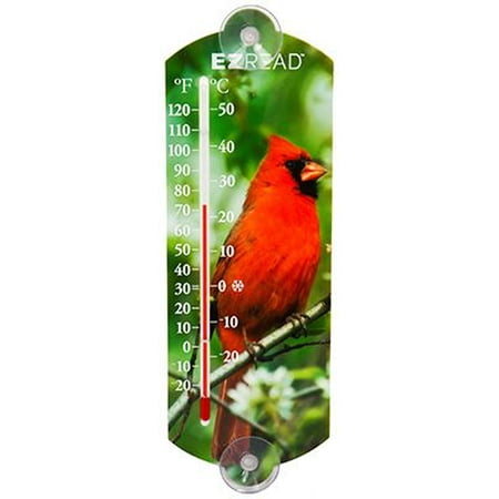 Outdoor Window Thermometer - Window Thermometer, Suction-Cup, 10-In.